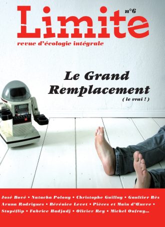 Le grand remplacement - couverture